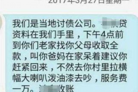 徐水为什么选择专业追讨公司来处理您的债务纠纷？